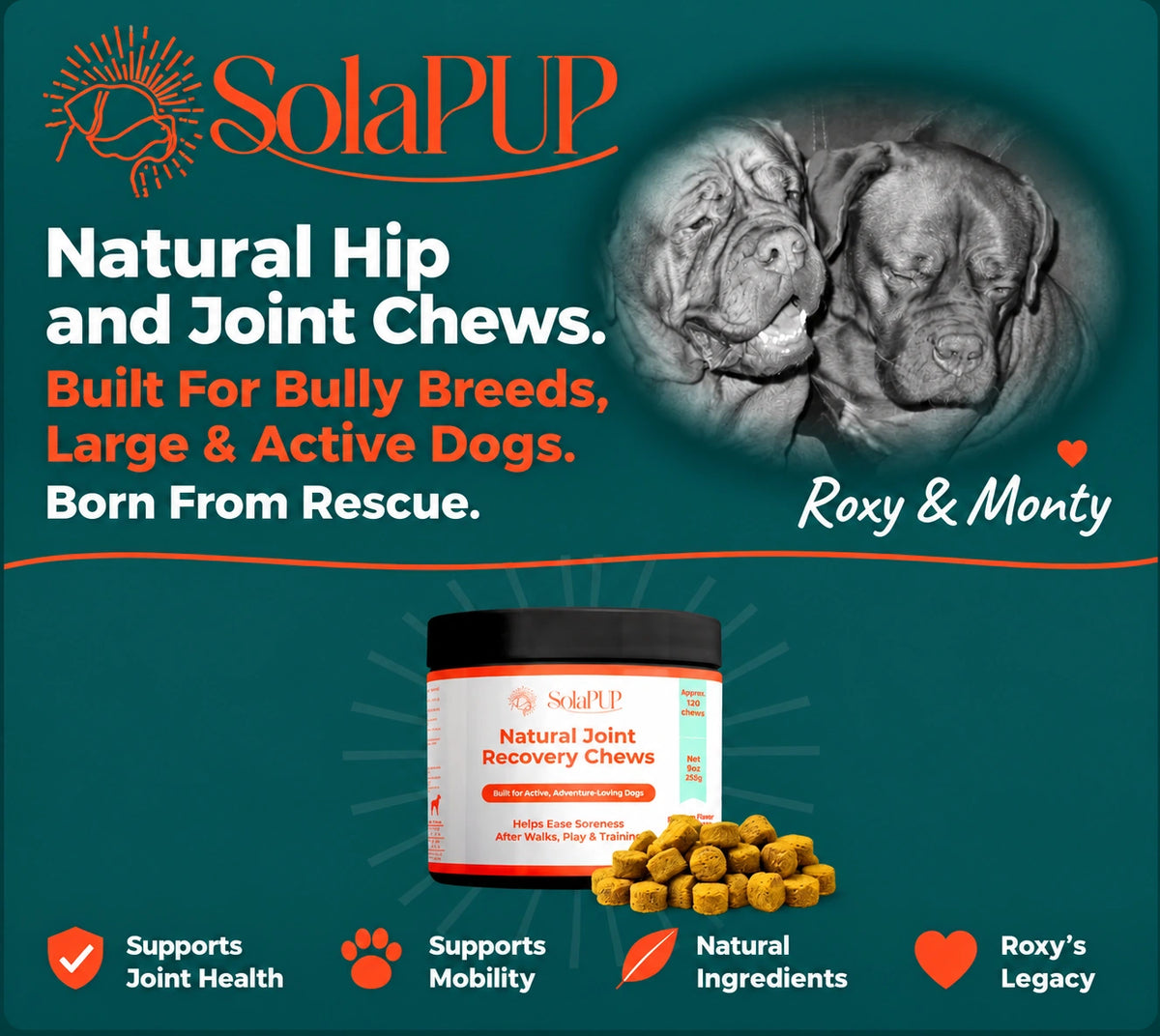 SolaPup Natural Hip and Joint Chews, built for bully breeds, large and active dogs. Roxy and Monty