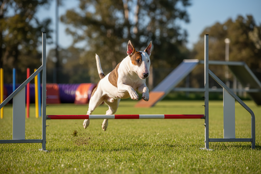 Why Bull Breeds Get Joint Problems (And What to Do About It)