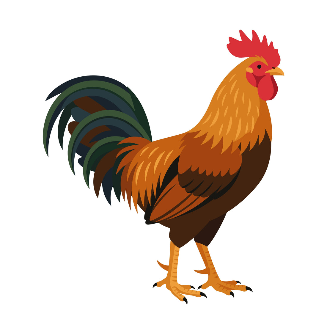 Could Chicken Be Triggering Your Dog's Itchy Skin or Upset Stomach?