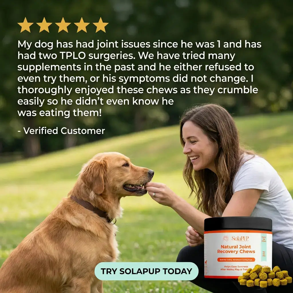 SolaPup® Recovery Chew Formula - Made in the USA