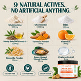 Infographic of the 9 natural active ingredients in SolaPup Hip & Joint Chews, including glucosamine, chondroitin, turmeric and green lipped mussel
