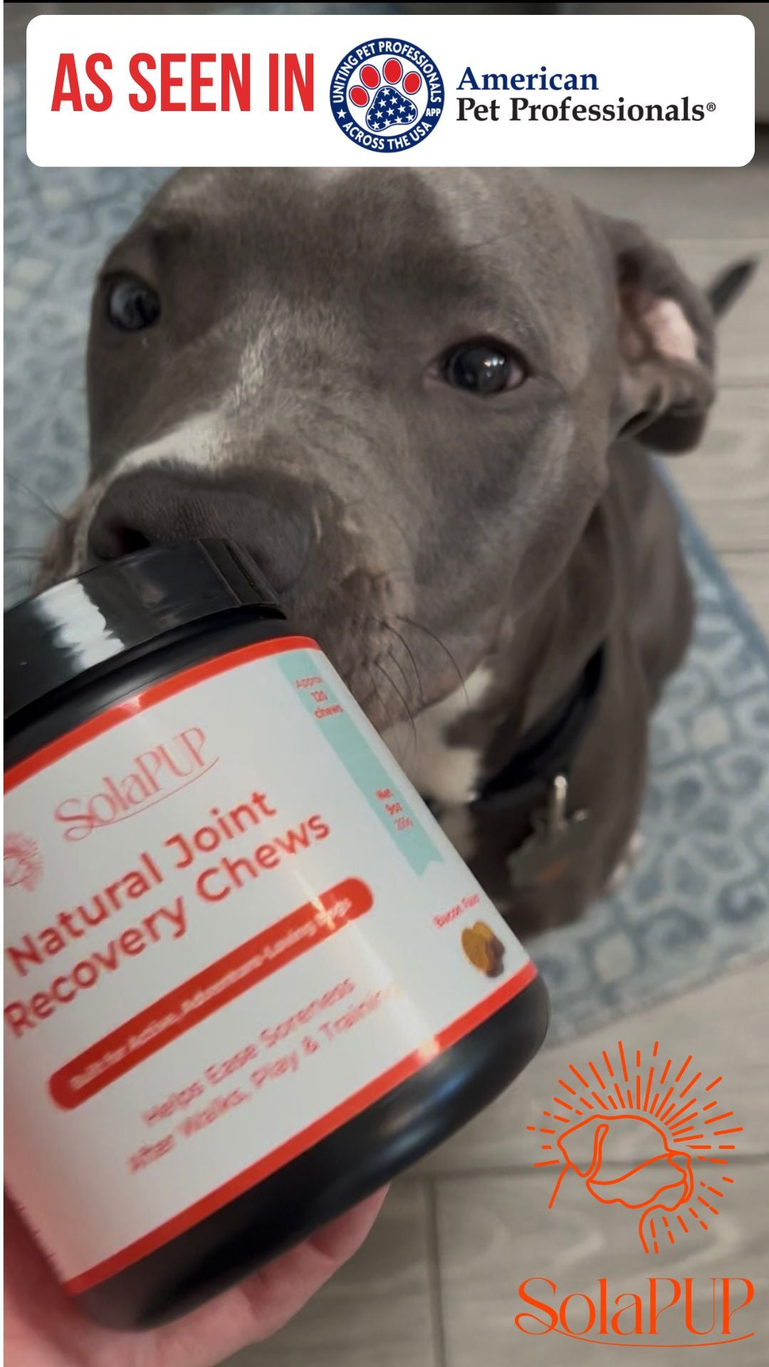SolaPup® Recovery Chew Formula - Made in the USA