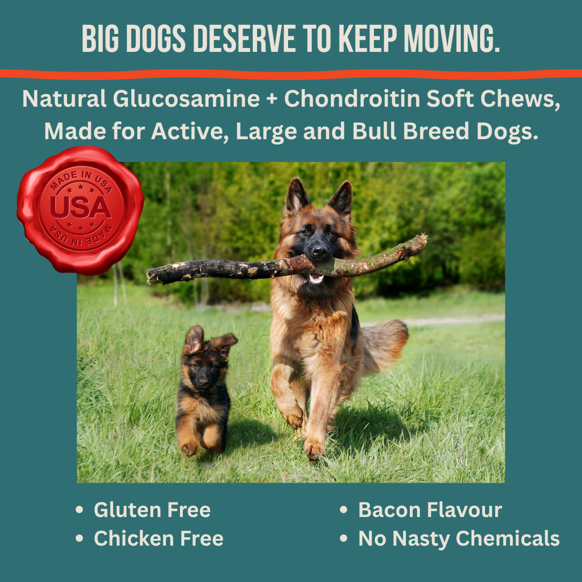 SolaPup® Recovery Chew Formula - Made in the USA