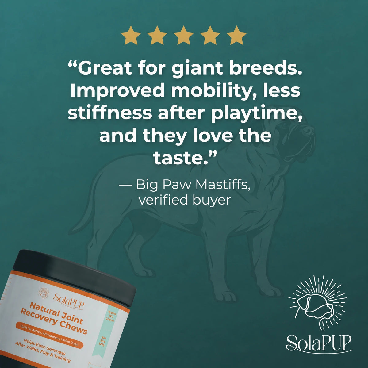 SolaPup Hip & Joint Chews, great for giant and large breed dogs
