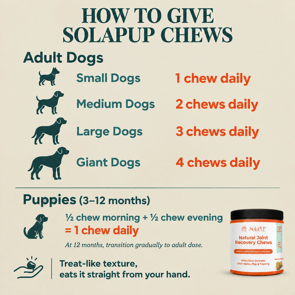 How to give SolaPup Hip & Joint Chews, whole as a treat or crumbled into their bowl