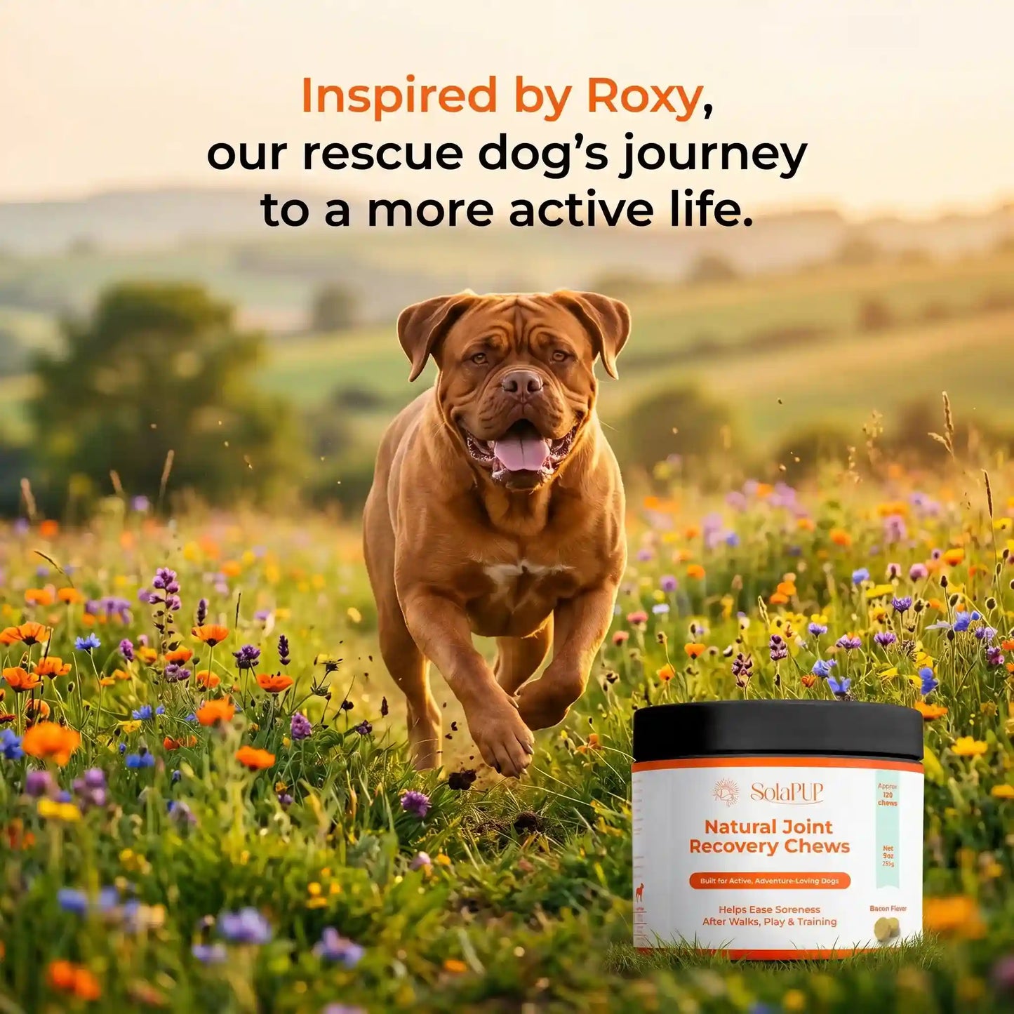 SolaPup® Recovery Chew Formula - Made in the USA