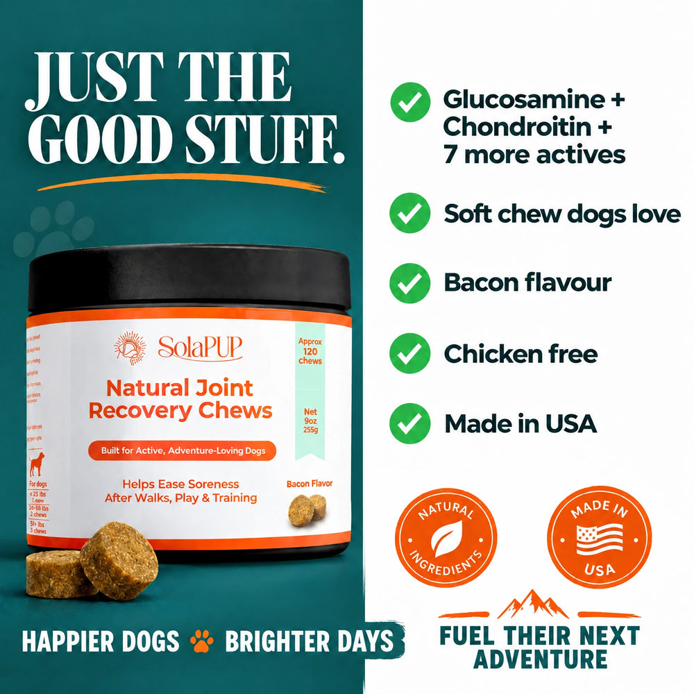 SolaPup Hip & Joint Chews, no artificial flavouring or preservatives, just the good stuff