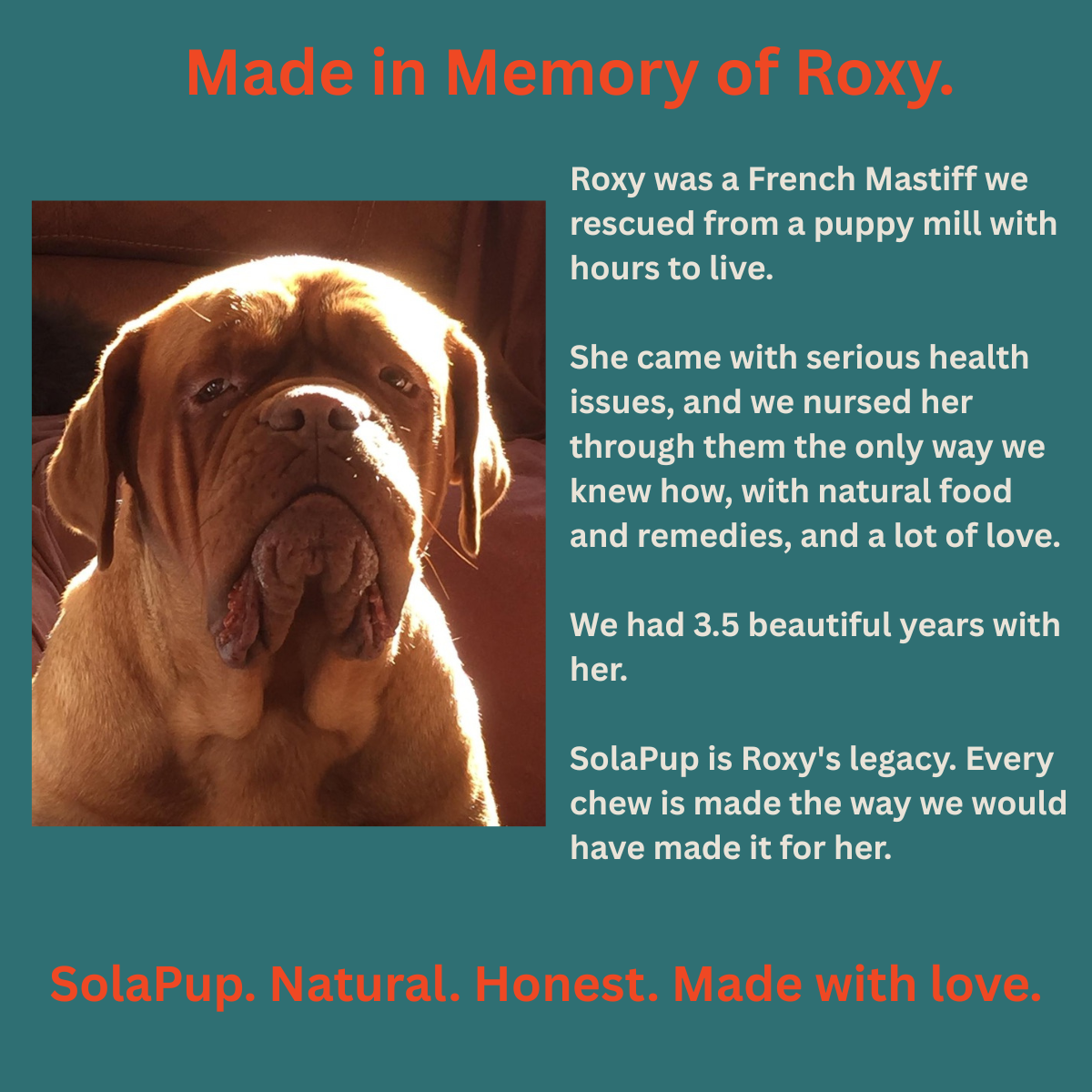 SolaPup® Recovery Chew Formula - Made in the USA