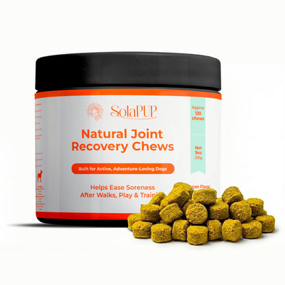 SolaPup Recovery Chews | Joint Support for Active Dogs – Post-Adventure Recovery for Sore Joints & Muscles