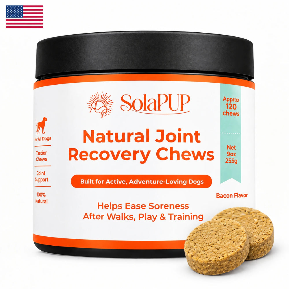 SolaPup Hip & Joint Chews jar next to a US flag, bacon flavoured soft chew joint supplement for dogs, made in the USA
