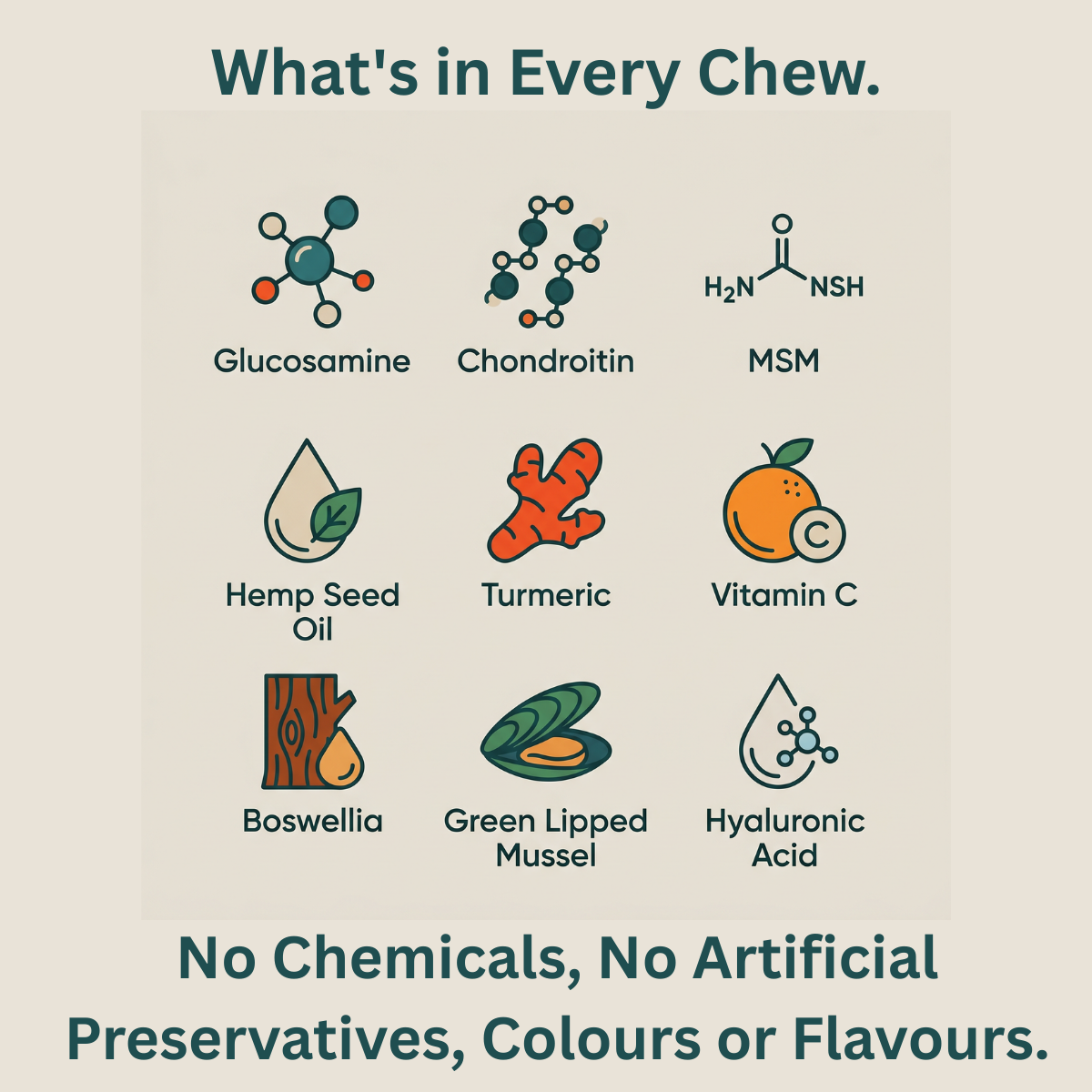 SolaPup® Recovery Chew Formula - Made in the USA